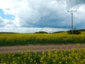 Countryside landscape with canola oil field Royalty Free Stock Photo