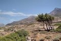 Countryside landscape on the charming Greek island of Donoussa.