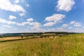 Countryside meadow landscape