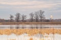 Countryside landscape in early spring.