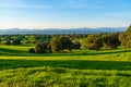 Countryside landscape with green fields and hills with trees, shadows, bushes, green grass and mountains in background Royalty Free Stock Photo