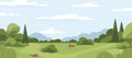 Countryside Landscape With Green Grass, Trees, Sky Horizon And Clouds. Rural Summer Scenery With Grassland, Panoramic