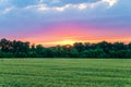 Countryside landscape with green ripening ears of wheat field under cloudy sky at sunset Royalty Free Stock Photo