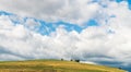 Countryside landscape: hill and lonely tree