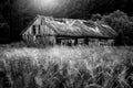 Countryside landscape of old barn near forest