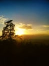 Countryside landscape with pine tree at evening dusk Royalty Free Stock Photo