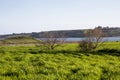 Countryside landscape