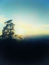 Countryside landscape with solitary dry tree at evening dusk