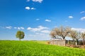 Countryside landscape during spring with solitary trees and fence Royalty Free Stock Photo