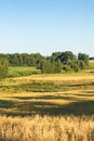 Countryside landscape on a sunny day