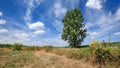 Countryside landscape with a sunny sky with dramatic cloud shapes, Ravels, Belgium.