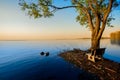 Sunrise - Dawn, Lake, Dawn, Sun, Riverbank Royalty Free Stock Photo