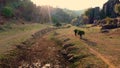 Countryside landscape view with green field, farmes and beautiful rock formations.