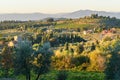 Countryside landscape, Vineyard in Chianti region. Tuscany. Italy Royalty Free Stock Photo