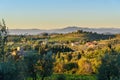 Countryside landscape, Vineyard in Chianti region. Tuscany. Italy Royalty Free Stock Photo