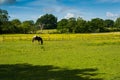 Countryside landscape