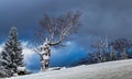 Countryside landscape in winter with snow capped small house, trees on mountainside under cloudy sky Royalty Free Stock Photo