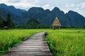 Countryside landscaped, wooden pathway in green rice field in Vang Vieng, Laos