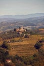 Countryside and landscapes of beautiful Tuscany. vineyards and cypresses. Italy Royalty Free Stock Photo