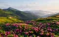 At countryside. Majestic Carpathian mountains. Beautiful landscape. Breathtaking view Royalty Free Stock Photo