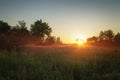 Countryside meadow in beautiful sunset Royalty Free Stock Photo