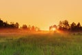 Countryside meadow in beautiful sunset Royalty Free Stock Photo