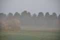the countryside in the mist at Plerin Royalty Free Stock Photo