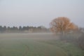 the countryside in the mist at Plerin Royalty Free Stock Photo