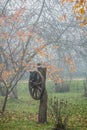 Countryside Misty fall. Wooden wheel in a garden. Trees with few leaves hanging. Vertical image