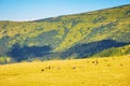 countryside mountain landscape Royalty Free Stock Photo