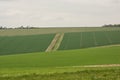 Countryside near Shoreham, Sussex, England Royalty Free Stock Photo