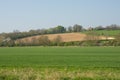 Countryside near Shoreham, Sussex, England Royalty Free Stock Photo