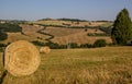 Countryside nearby Todi - Umbria - Italy