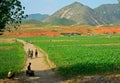 Countryside, North-Korea