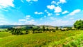 Countryside at the northern end of Highway R532 , the famous Panorama Route