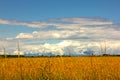 Countryside Panorama, Landscape With Blue Sky With Small Clouds Above A Golden Wheat Field
