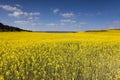 Countryside in the Paramo de Masa Royalty Free Stock Photo