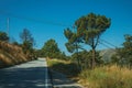 Countryside paved road passing through hilly landscape