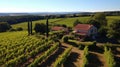 Countryside pension with vineyard views and winetasting events