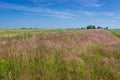 Countryside in Poland