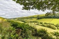 Countryside in Powys, mid Wales in the UK. View of lush fields and trees in summer of 2019