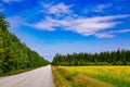 Countryside road along yellow rapeseed flower field and blue sky in rural Finland Royalty Free Stock Photo