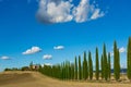 Countryside road with cypresses trees and old house