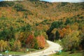 Countryside road extending up and down in front inside autumn forest