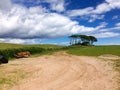 Countryside Road - Farmland