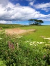 Countryside Road - Farmland