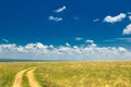 Countryside road, green grass and blue sky