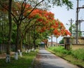 The countryside road