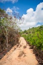 Countryside road on Itamaraca Island - Pernambuco, Brazil Royalty Free Stock Photo