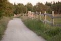 Countryside road, meadow and forest landscape. Field with flowers and grass in the evening sunshine, golden hour Royalty Free Stock Photo